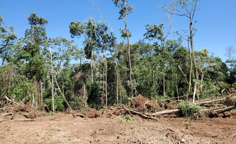 Denuncian crimen ecológico en Jarabacoa