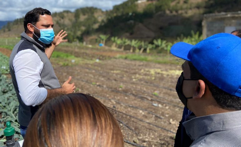 Innovación en agricultura familiar acelera salida de la pobreza de agricultores en Villa Poppy
