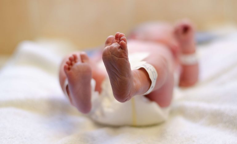  Especialistas destacan la necesidad urgente de políticas homologadas para abordar el Virus Respiratorio Sincitial en América Latina