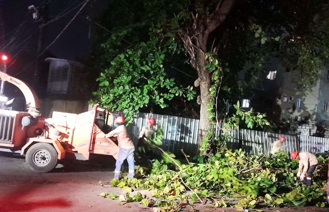 Edesur realiza un amplio operativo de poda y retiro de restos de árboles en colaboración con el Ayuntamiento del Distrito Nacional