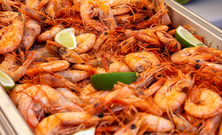 MITUR cierra con éxito festival gastronómico “Saborea el Paraíso” en Sánchez, Samaná