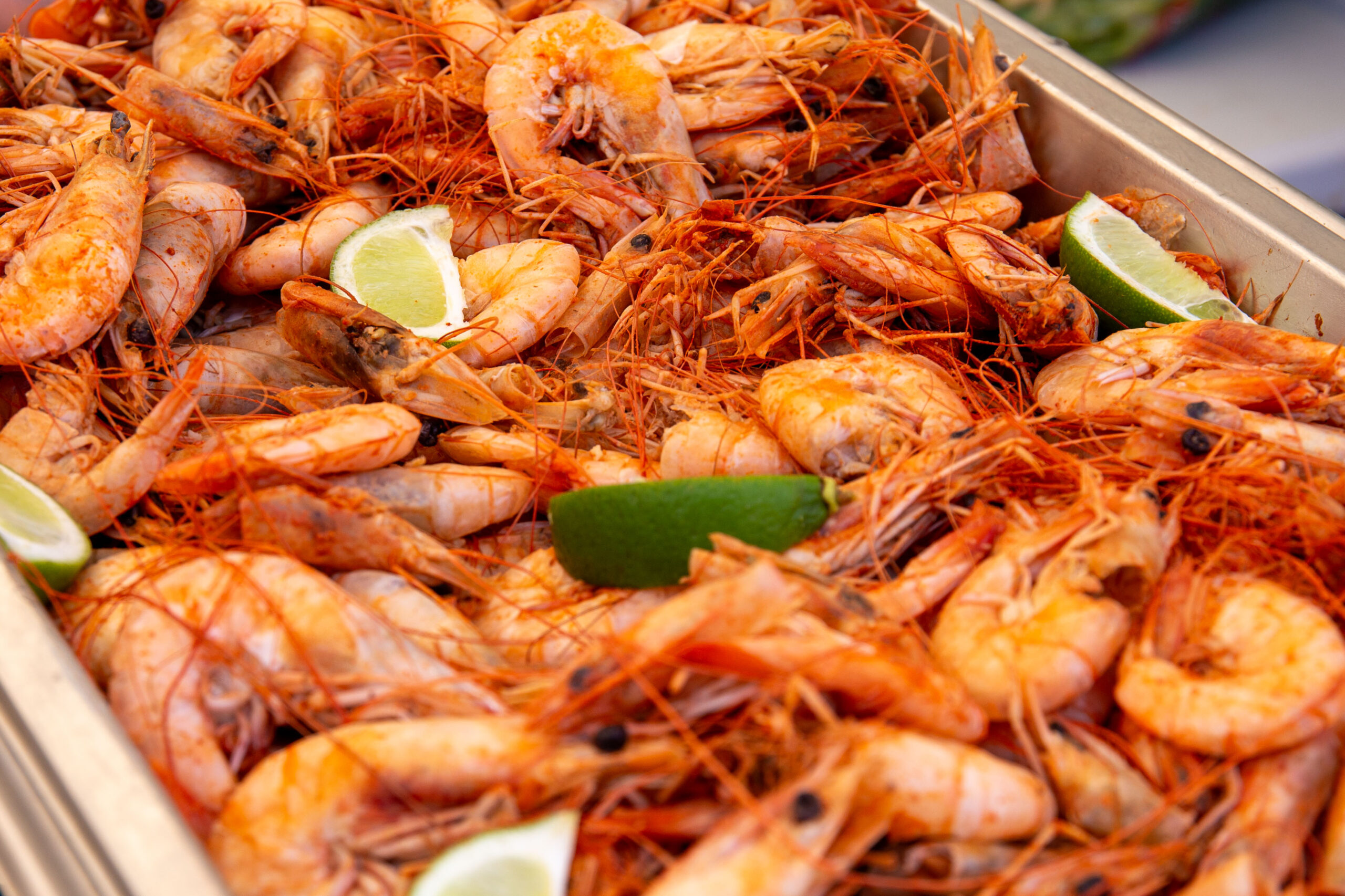 MITUR cierra con éxito festival gastronómico “Saborea el Paraíso” en Sánchez, Samaná